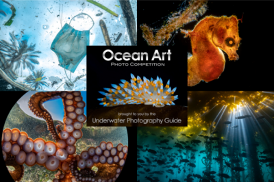 2021 Ocean Art Underwater Photo Competition Announced