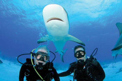 Remembering Innovator Val Ranetkins