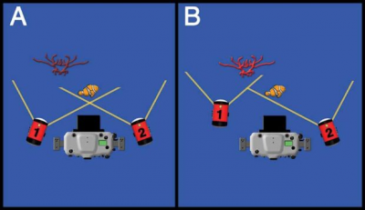 My Weird Lighting Pattern