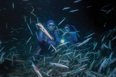 Being Nourished by the Ocean