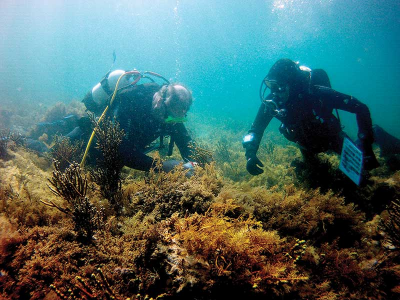 Going Local with Citizen Science