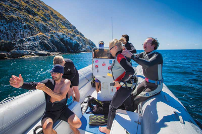 Fostering Safety Culture