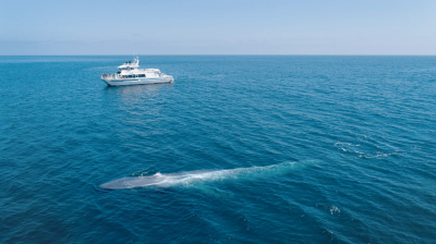 Whale Heritage Sites of the World